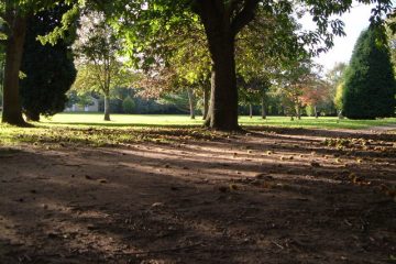 Mill Marsh Park Bovey Tracey